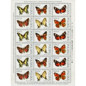 3195-3200 Motyle z kolekcji Instytutu Zoologii PAN w Warszawie