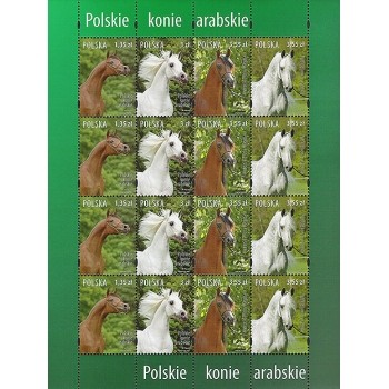 4173-4176 Polskie konie arabskie