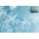FDC 1527-1528  Boże Narodzenie (2010)