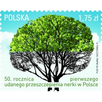 4668 50 rocznica pierwszego udanego przeszczepienia nerki w Polsce