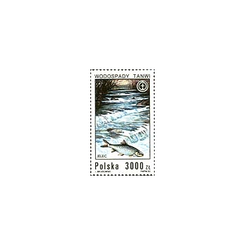 3233 Wodospady polskie