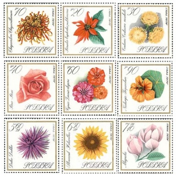 1548-1556 Kwiaty ogrodowe