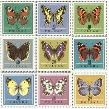 1650-1658 Motyle