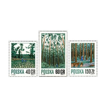 1920-1922  Gospodarka leśna