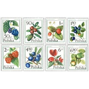 2340-2347 Owoce występujące w polskich lasach