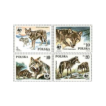 2827-2830 Dzikie zwierzęta chronione-wilk