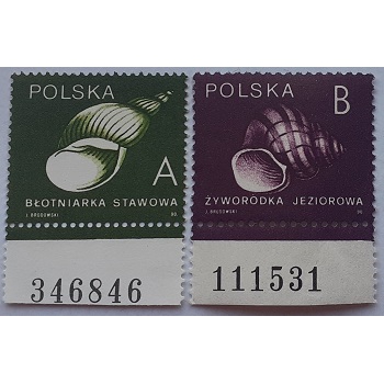 3124x-3125y Ślimaki i małże