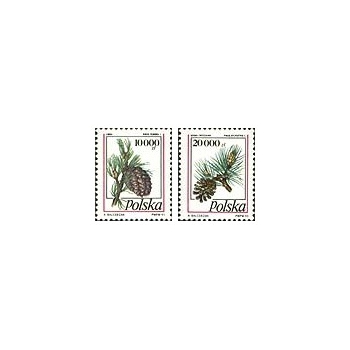 3308-3309 Owoce drzew iglastych(II)